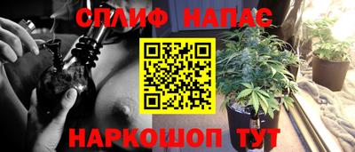прущие крисы Нальчик