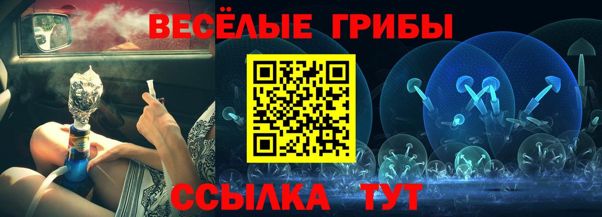 закладка  Галлюциногенные грибы ЛСД  Вход с VPN  Псилоцибиновые грибы мухоморы  Топки 
